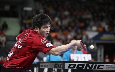 输了球的樊振东，有了活人感